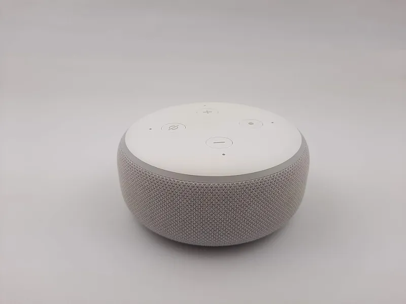 Please Repeat the Domain: The Slow Existential Collapse of Voice Assistants Confronted With URLs That Never End
